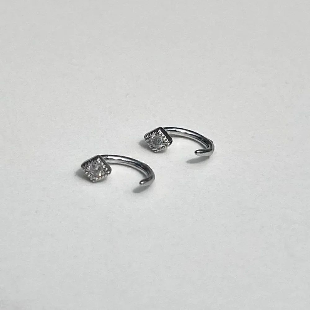 New! “Mona” Silver Loop-In Earrings